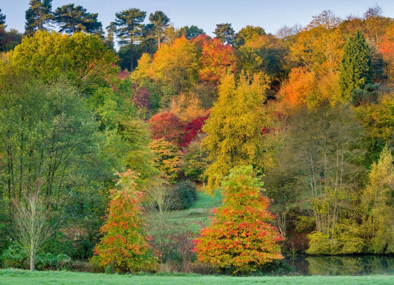 National Trust - Winkworth Arboretum, United Kingdom